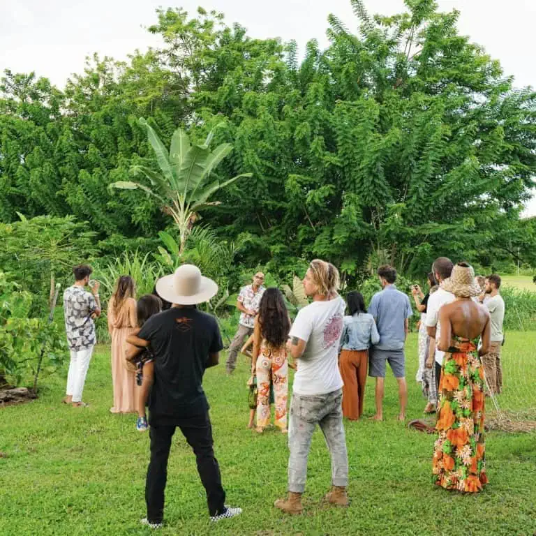 Farm Tours at Common Ground