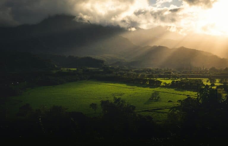 What to Expect on a Common Ground Kauai Farm Tour