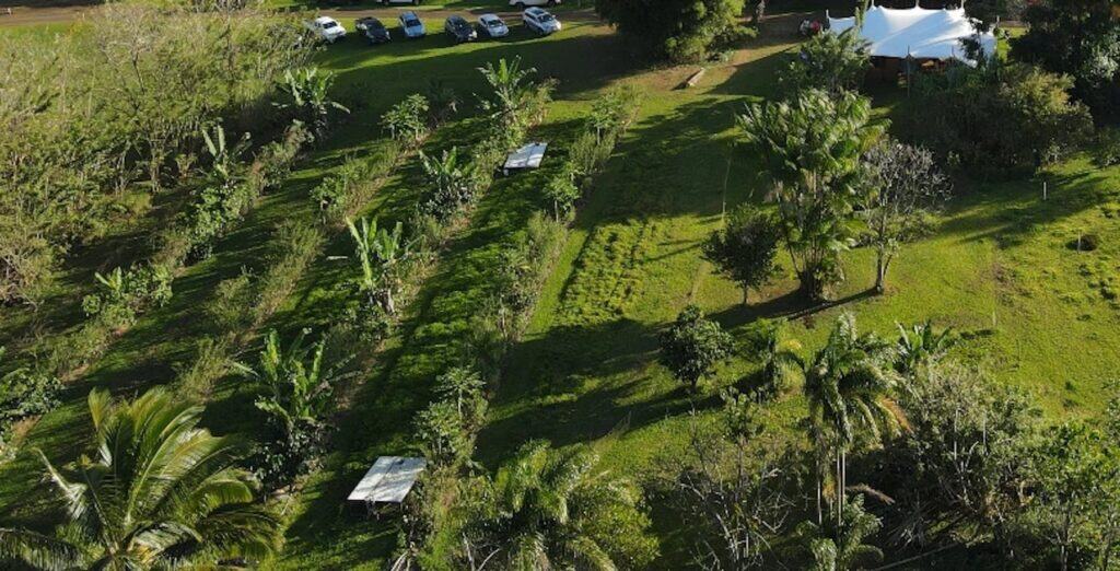 Agroforestry Connections (Part 1)
