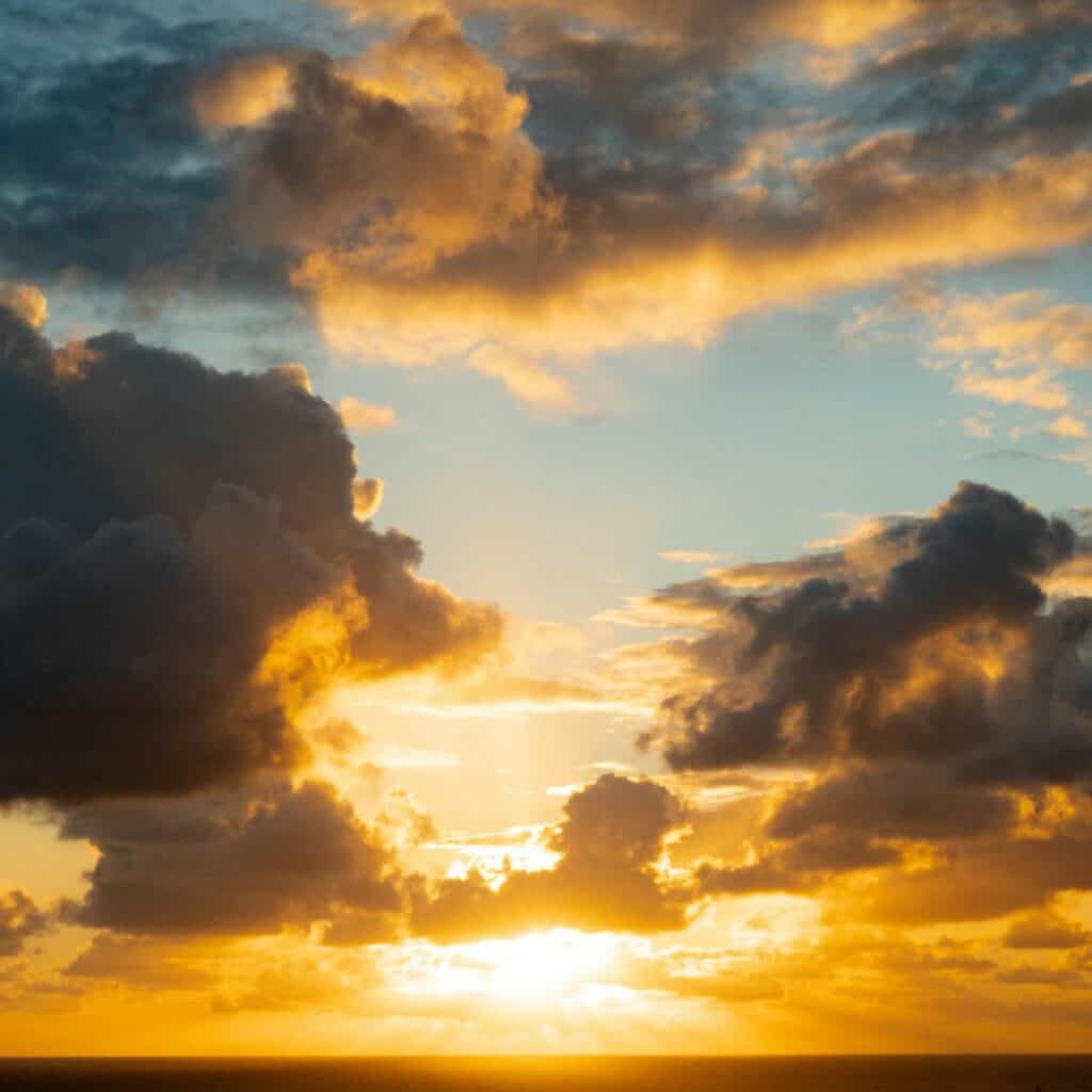 Regeneration: Because Sustainable Isn’t Enough
