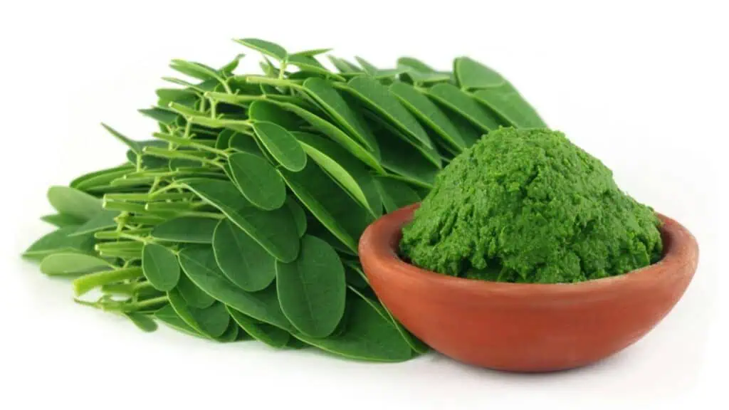 Moringa The Miracle Tree | Common Ground Marketplace