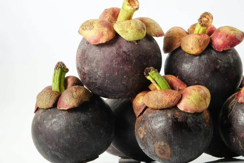 Mangosteen 1