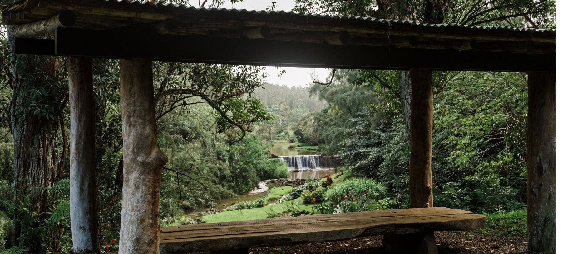 Hike to Kauai's Stone Dam in Kilauea 1