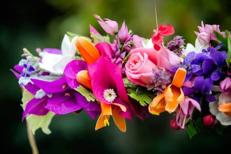 Close up of a Lei
