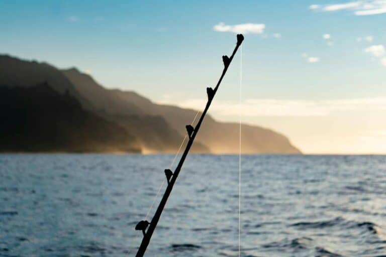 Kauai Fishing