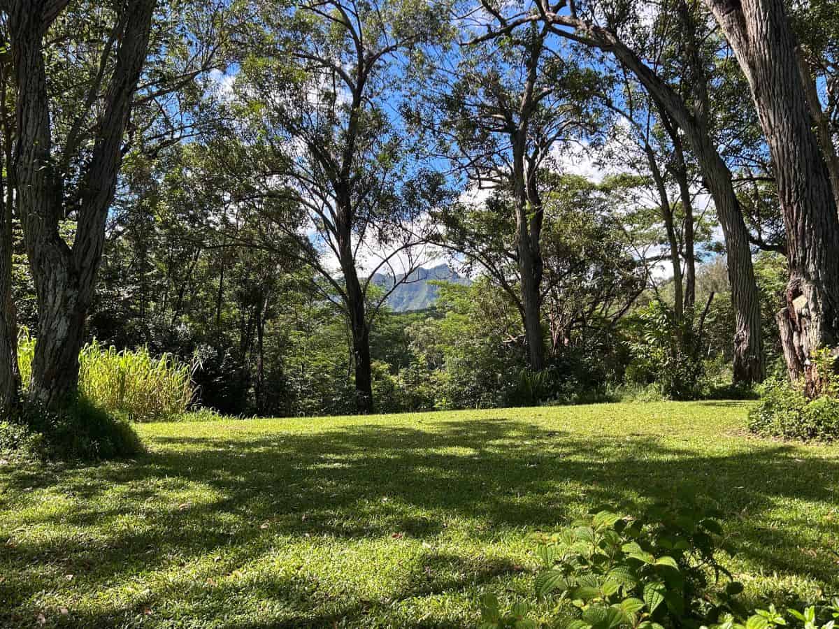 Namahana View