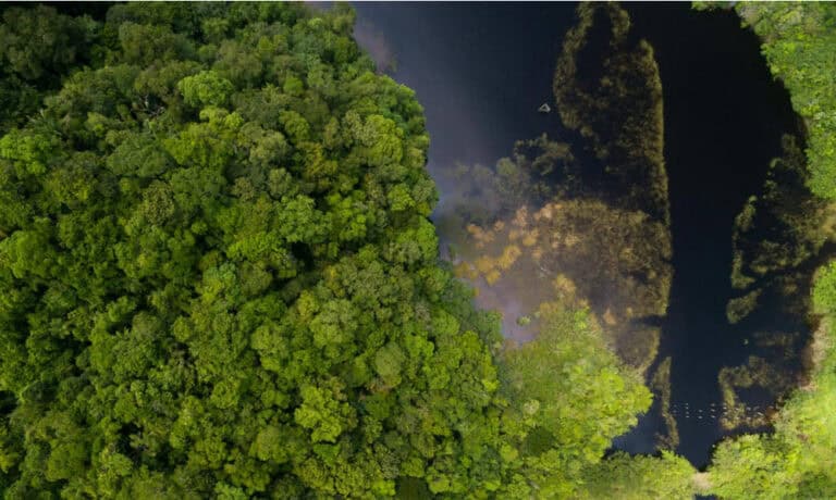 Aerial of Kuaui