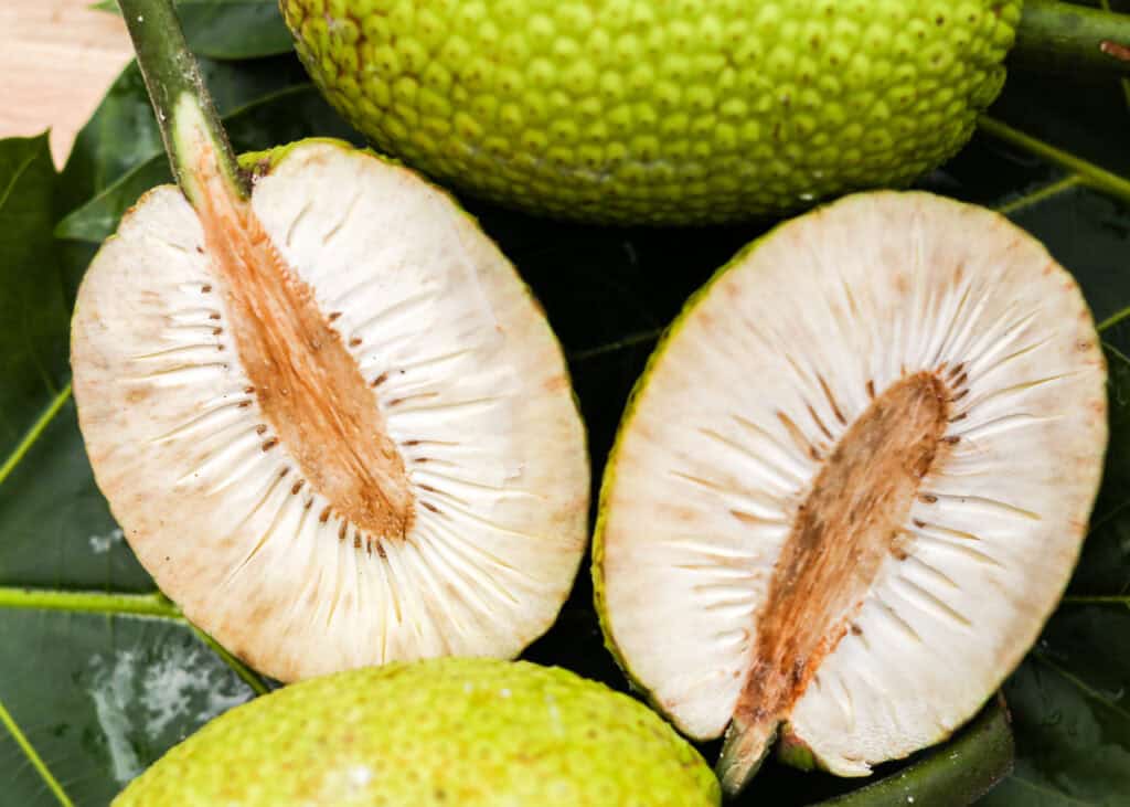 Breadfruit cut in half on dark green leaves, showing its white starchy interior, brown core, and bumpy green outer skin.