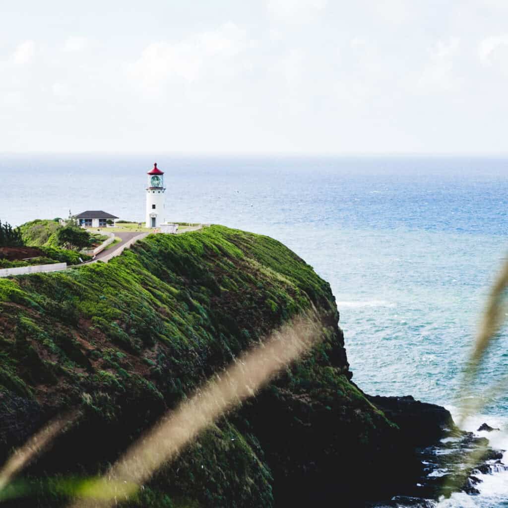 White lighthouse with a red roof on a lush green coastal cliff overlooking the ocean.