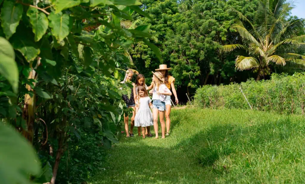 A guide leads four children along a grassy path through a lush tropical garden surrounded by dense green foliage and palm trees.