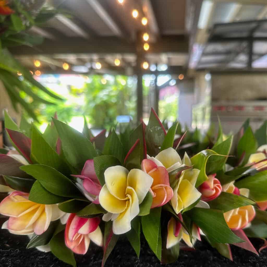 Close-up of a freshly made lei featuring pink, white, and yellow plumeria flowers woven with glossy green leaves.