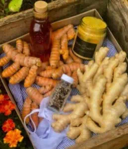 Secret Harvest Hawaii