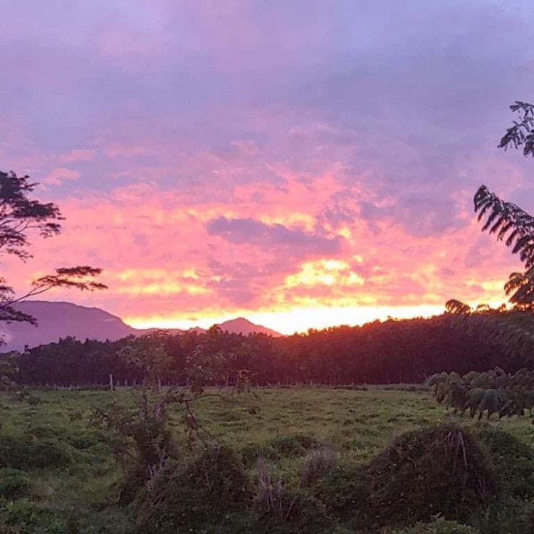 1f13c934-06df-4b66-9b37-0210468e29a8_CG+Sunset+Pasture+Mountains