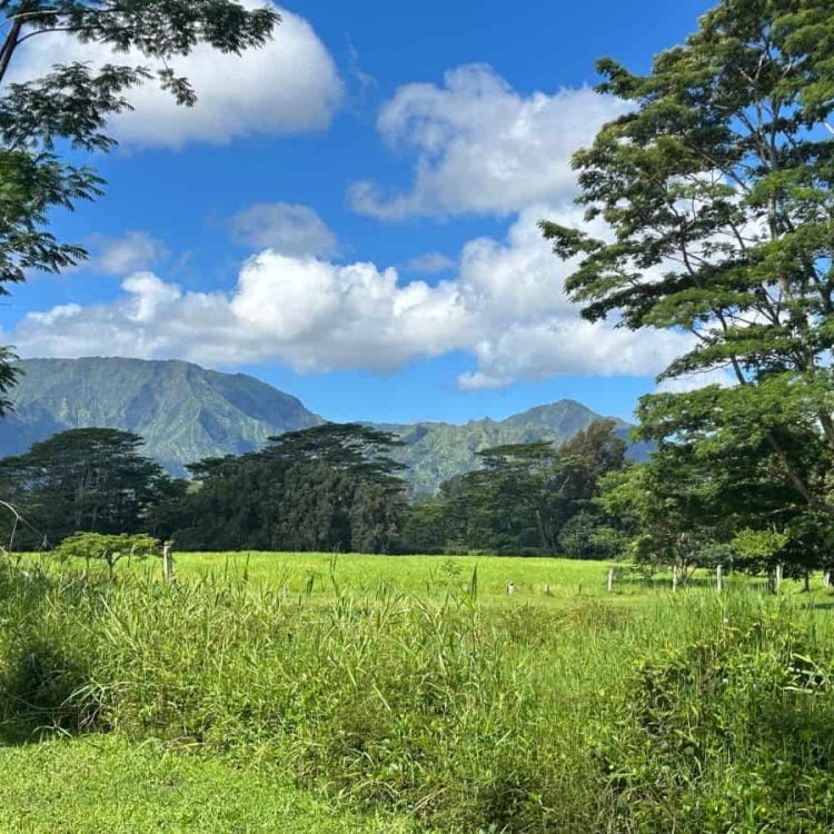 Hanalei Side View from Gate