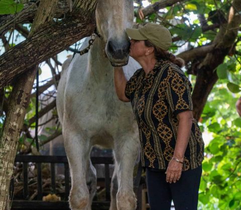 Horse Experience Caro 3