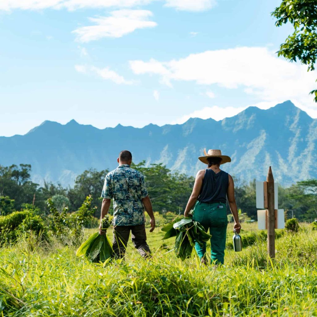 Common Ground Mauna View
